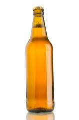 Beer bottle isolated on white background