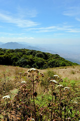 Fototapeta na wymiar View of Mountains,Kew Mae Pan a nature trail, the highest point in Thailand.