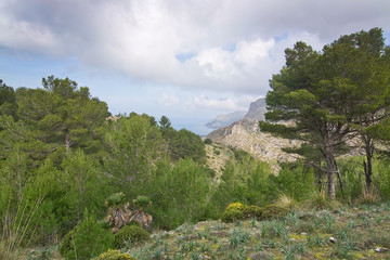 Fototapeta na wymiar Green spring mountain landscape