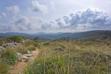 Fototapeta na wymiar Green spring mountain landscape