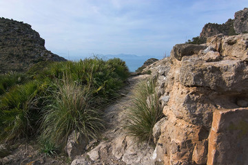 Green spring mountain landscape