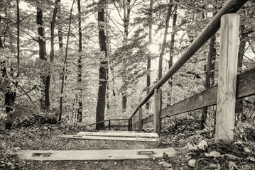 wooden steps