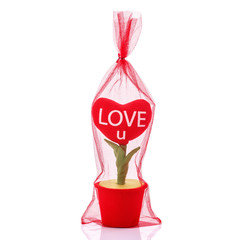 Artificial red heart flower. Studio shot isolated on white