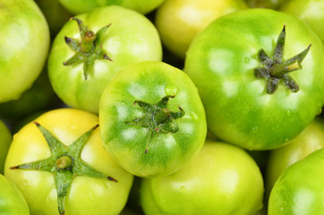 Green tomato, close up