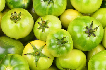 Green tomato, close up