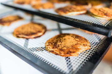 Dehydrator sheets with apple slices and cinnamon