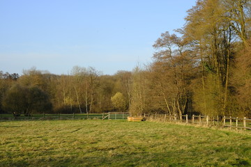 An der Schönebecker Aue im Winter