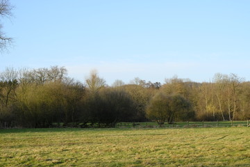 An der Schönebecker Aue im Winter