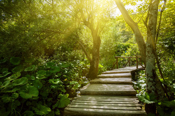 Serene view of Plitvice lake national park