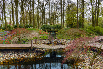 Spring landscape with waterfall in dutch spring Keukenhof Gardens