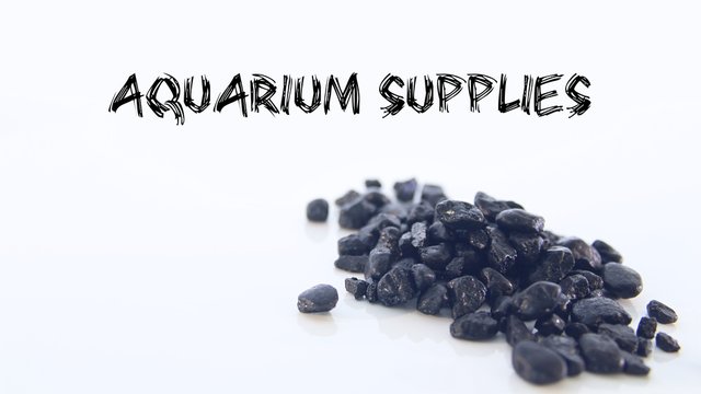 Aquarium Supplies Shop Header with Some Black Gravel on a White Background