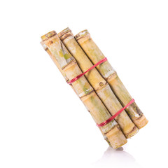 Fresh sugar cane. Studio shot isolated on white