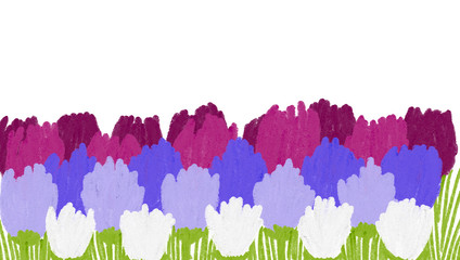 Hand drawn wallpaper of abstract field full of tulip flowers on white background, isolated illustration painted by oil color