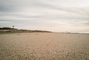 Higbee beach Cape May 