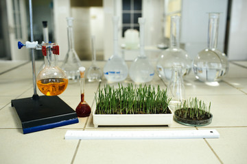 research plants