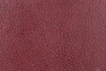 Fototapeta premium Maroon leather background
