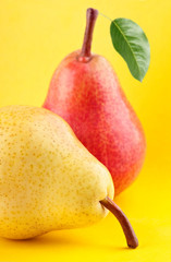 Group of ripe yellow and red pear fruits with green pear leaf on yellow background