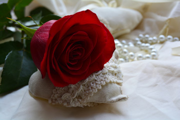 flowers in the interior