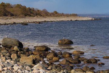 Archipelago beach at the Jomfruland Island, Norway