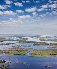 Aerial view flooded forest plains with power lines.