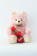 Teddy bears, pink and red roses on a white background.