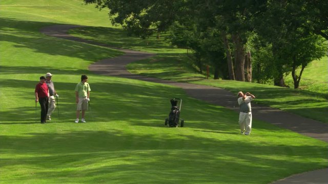 Three golfers standing in shade and watching a third hitting a ball near cart path