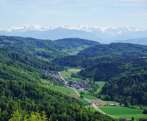 Naklejka premium Zürich und der Zürichsee vom Ütliberg
