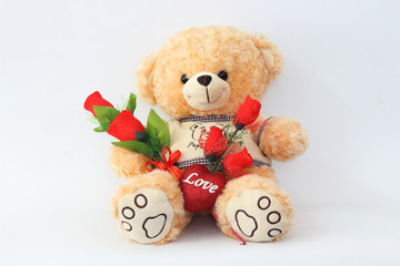 Brown teddy bears and red roses on a white background.