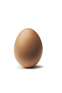 Single egg standing on a white background
