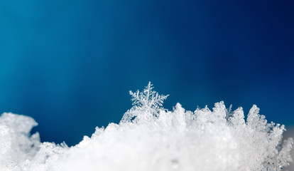 natural snowflakes on snow