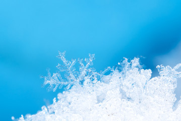natural snowflakes on snow