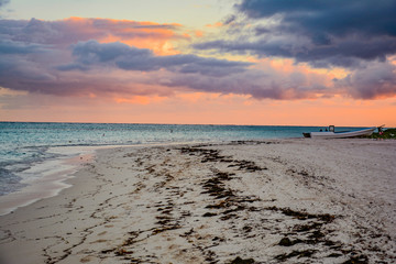 sea panoramic view of the Dominican Republic in the Caribbean with white beaches and palm trees