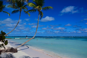 sea panoramic view of the Dominican Republic in the Caribbean with white beaches and palm trees