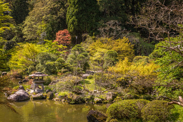 Japanese garden