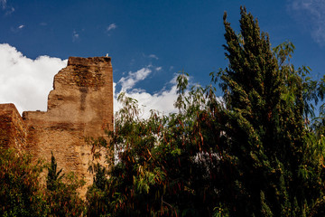 Tourism in Malaga