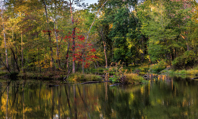 C&O Canal Fall Scene