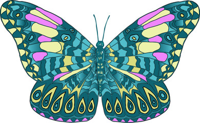 Векторное изображение разноцветная тропическая бабочка изолированная на белом фоне