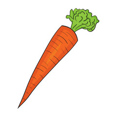 Illustration of Isolated Cartoon Carrot