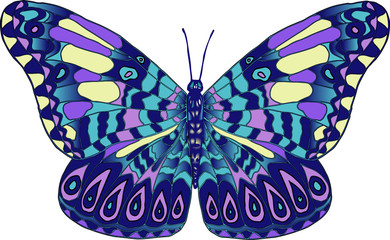 Векторное изображение разноцветная тропическая бабочка изолированная на белом фоне
