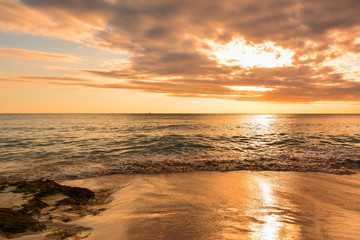 sea panoramic view of the Dominican Republic in the Caribbean with white beaches and palm trees