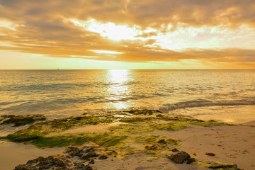 sea panoramic view of the Dominican Republic in the Caribbean with white beaches and palm trees