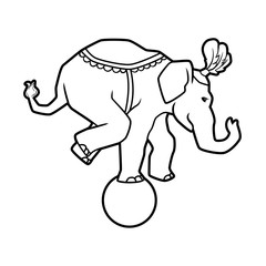 Circus trained wild animals performance isolated on white. elephant balances on the ball