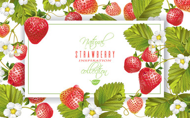 Strawberry horizontal banner - 140116329