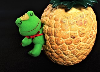 Crown Prince frog awakening from hibernation in spring