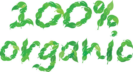 Fototapeta premium Text 100% organic leaves vector