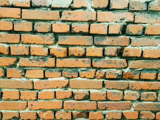A crumbling wall of red brick covered with moss.