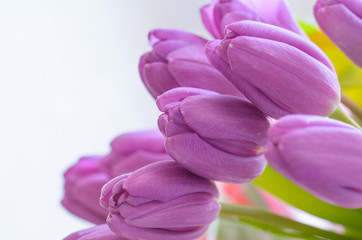 Fototapeta premium Bouquet of lilac tulips.