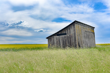 Obraz premium The Shed