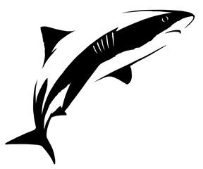 black and white linear paint draw shark illustration