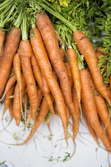 Carrots on the market 